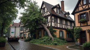 découvrez les sinistres habitation les plus fréquents à strasbourg et comment votre assurance peut vous protéger. conseils, exemples concrets et solutions adaptées à la région.